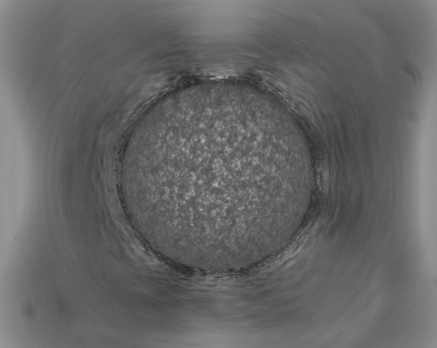 X0000115181393200911121751
