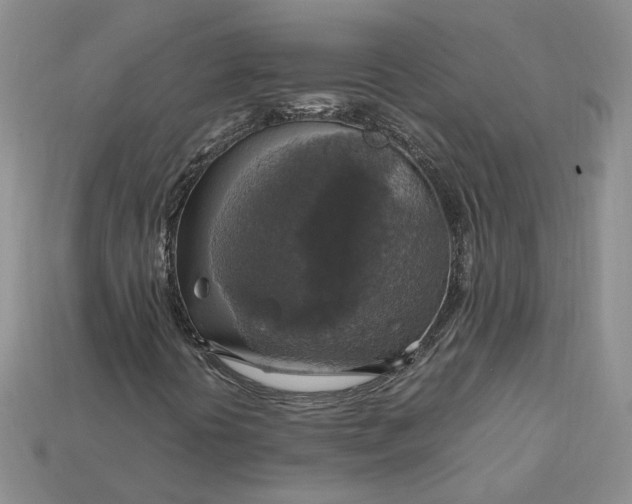 X0000115181394200911121751