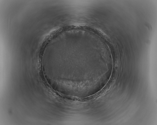 X0000115181398200911121751