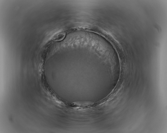 X0000115181399200911121751