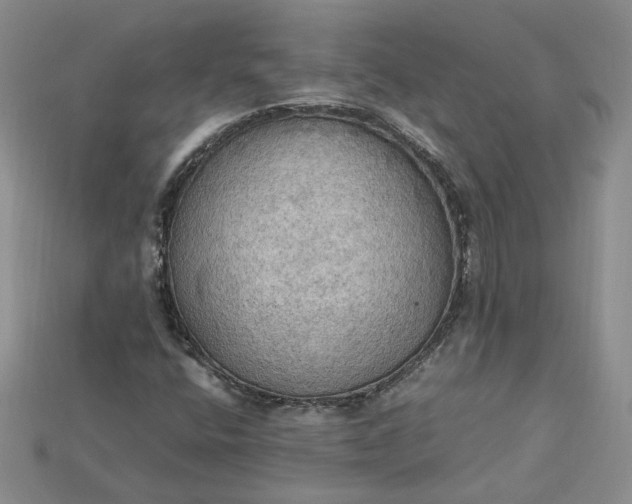 X0000115181400200911121751