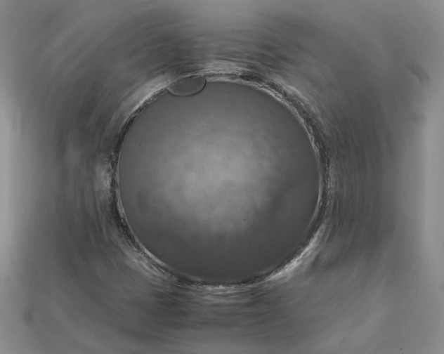 X0000115181401200911121751