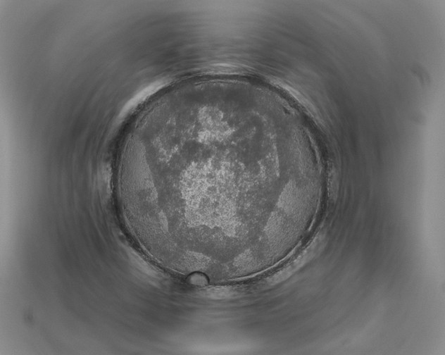 X0000115181402200911121751
