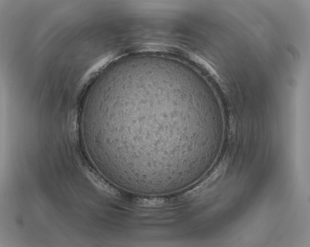 X0000115181403200911121751