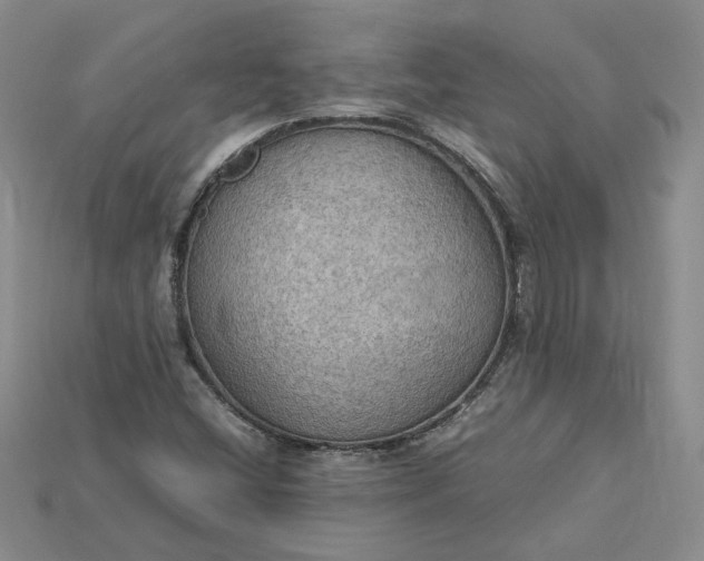 X0000115181404200911121751