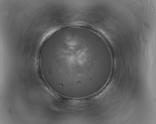 X0000115181405200911121751