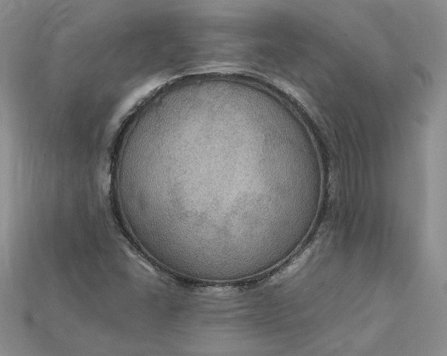 X0000115181406200911121751