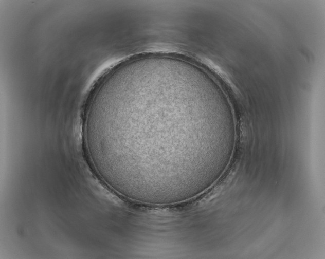 X0000115181408200911121751