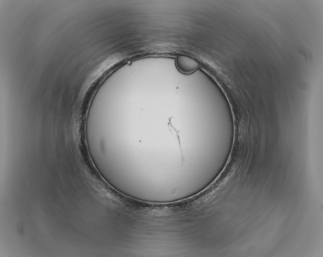X0000115181410200911121751