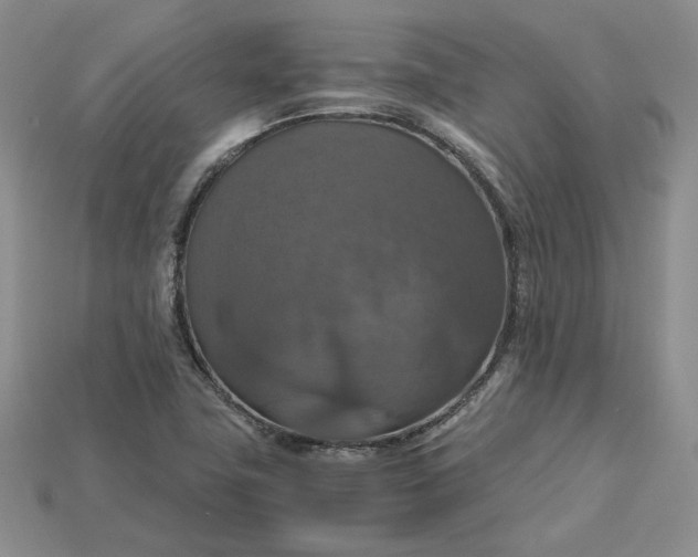 X0000115181411200911121751