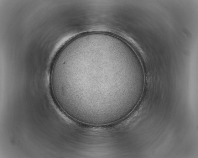 X0000115181416200911121751