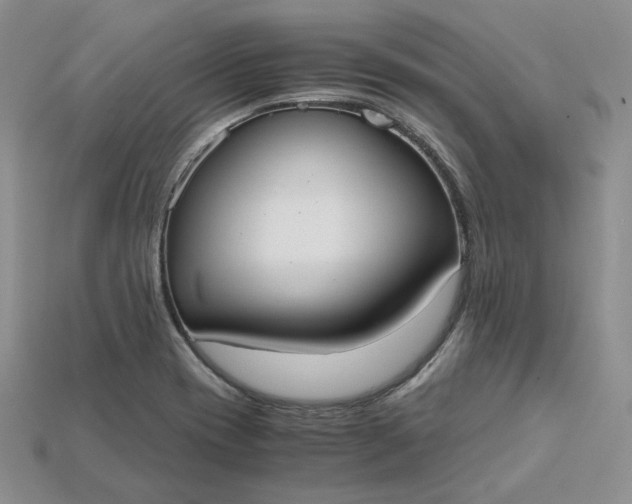 X0000115181417200911121751