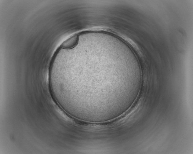 X0000115181420200911121751