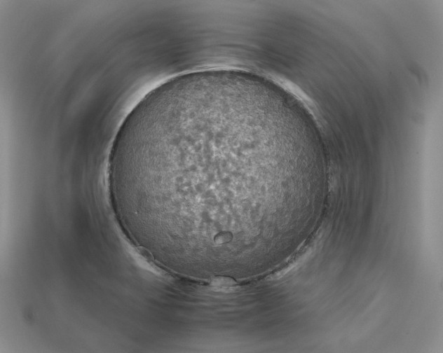 X0000115181423200911121751