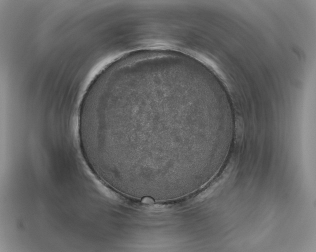 X0000115181424200911121751