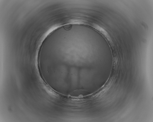 X0000115181427200911121751