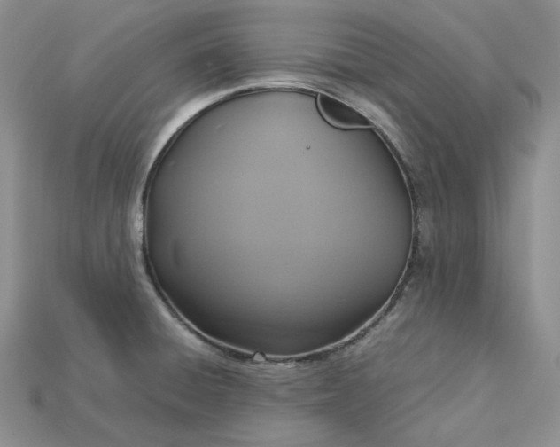 X0000115181428200911121751
