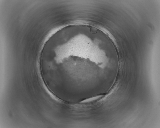 X0000115181429200911121751