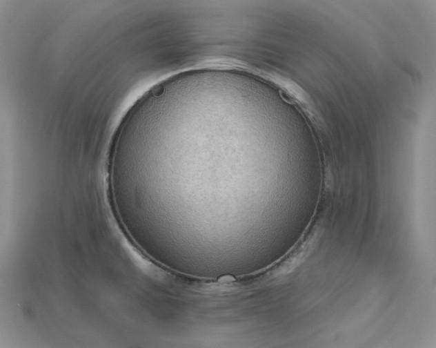 X0000115181430200911121751