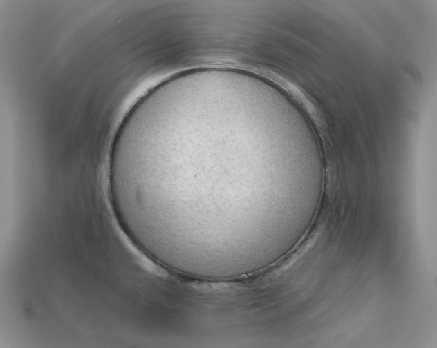 X0000115181432200911121751