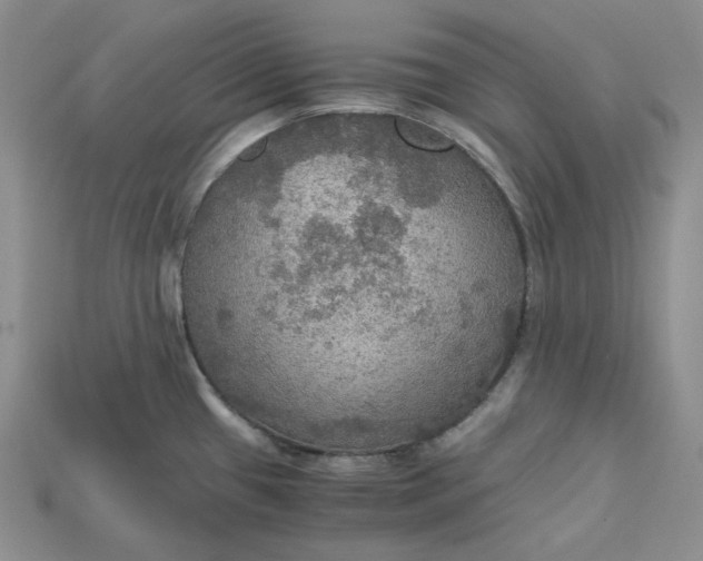 X0000115181433200911121751