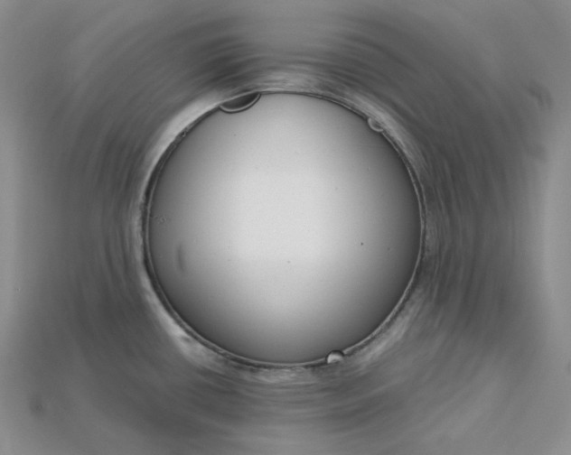 X0000115181434200911121751