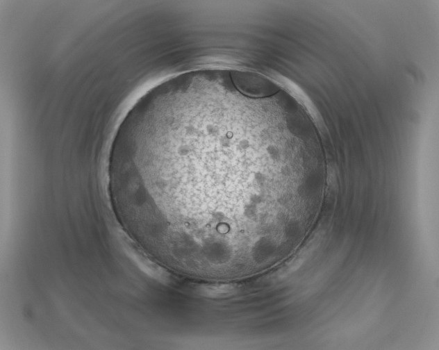 X0000115181435200911121751