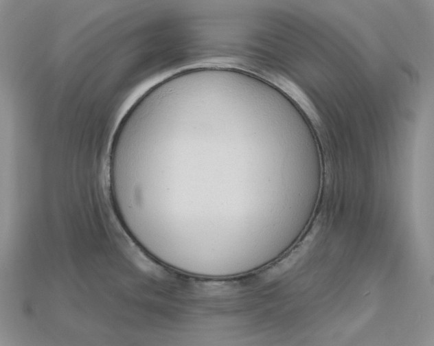 X0000115181436200911121751