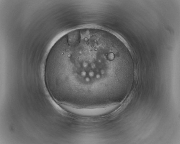 X0000115181438200911121751