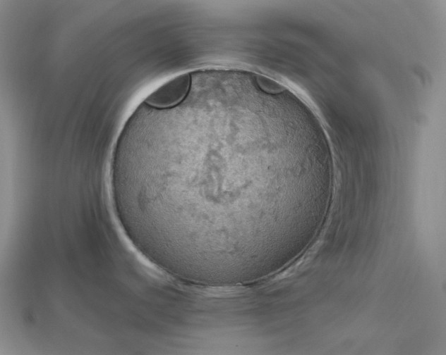 X0000115181440200911121751