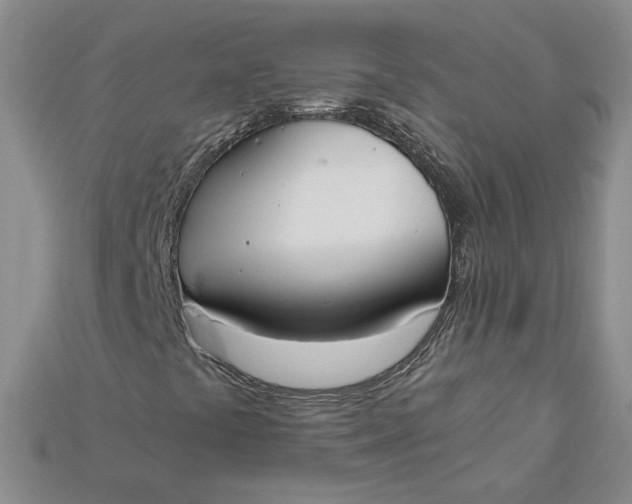 X0000115181441200911121751