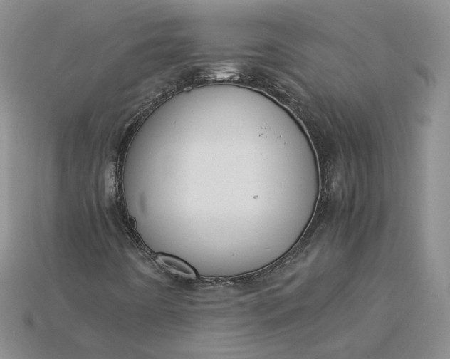 X0000115181442200911121751