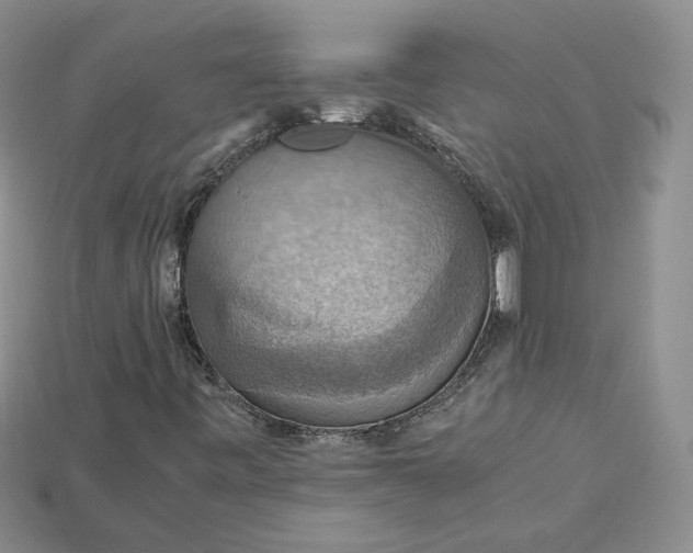X0000115181443200911121751