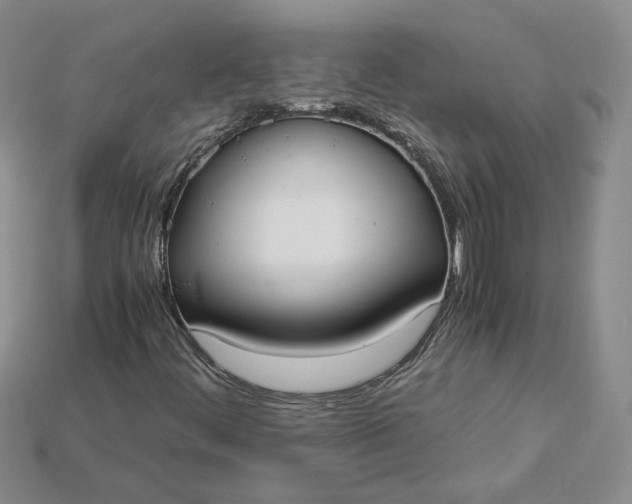 X0000115181444200911121751