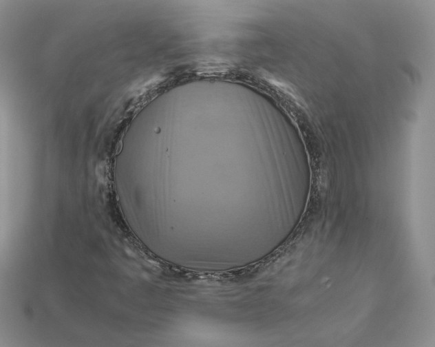 X0000115181445200911121751