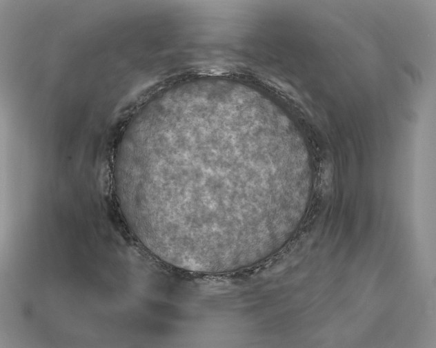 X0000115181446200911121751