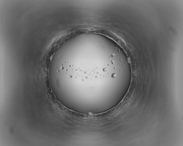 X0000115181447200911121751
