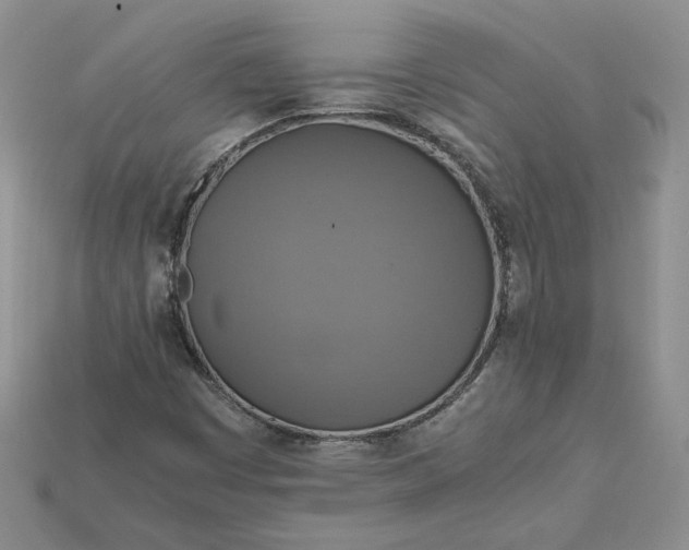 X0000115181449200911121751