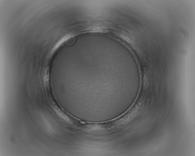 X0000115181450200911121751