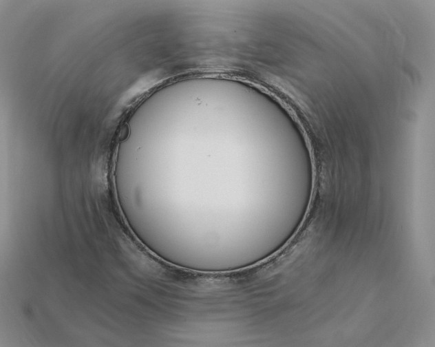 X0000115181451200911121751