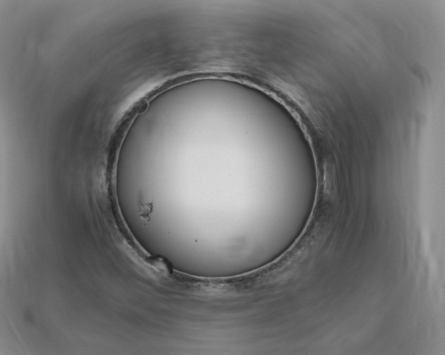 X0000115181452200911121751