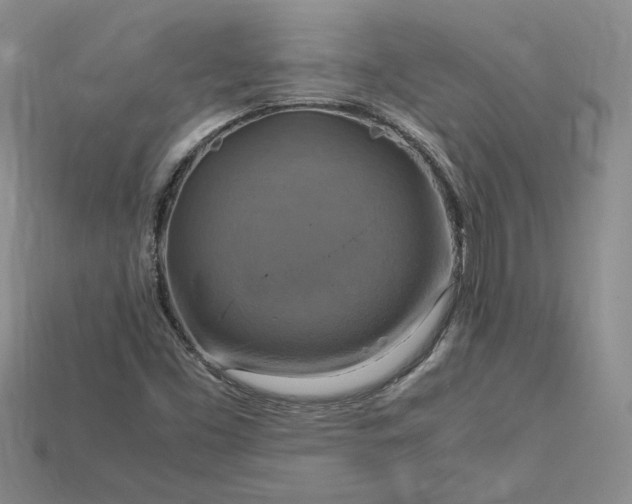 X0000115181453200911121751