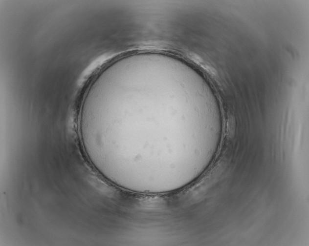 X0000115181454200911121751