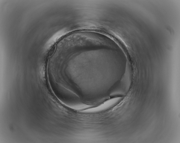 X0000115181455200911121751