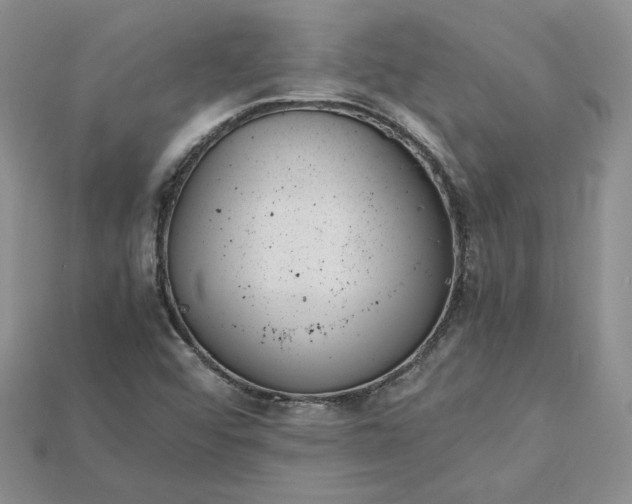 X0000115181456200911121751