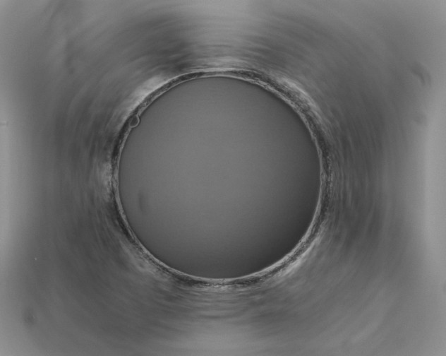 X0000115181457200911121751