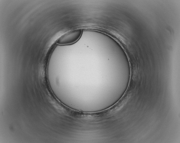 X0000115181458200911121751