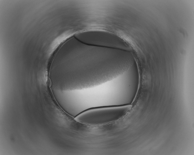 X0000115181461200911121751