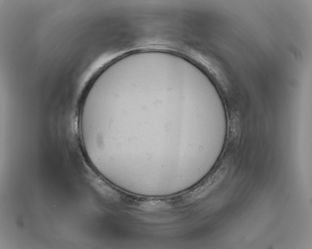 X0000115181462200911121751