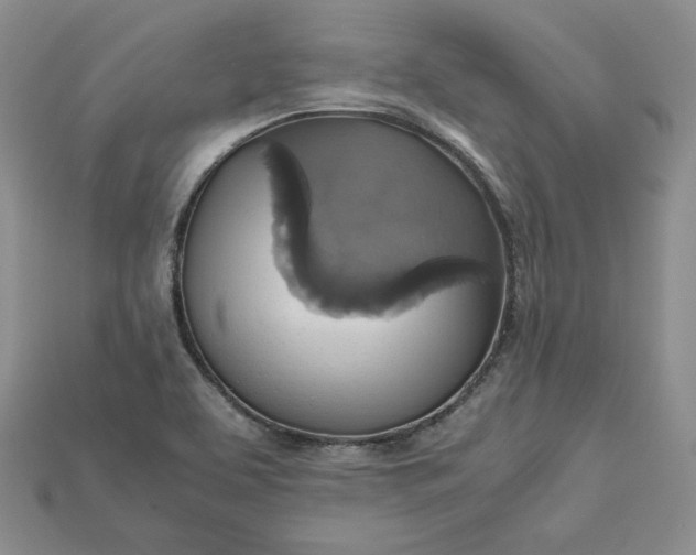 X0000115181463200911121750